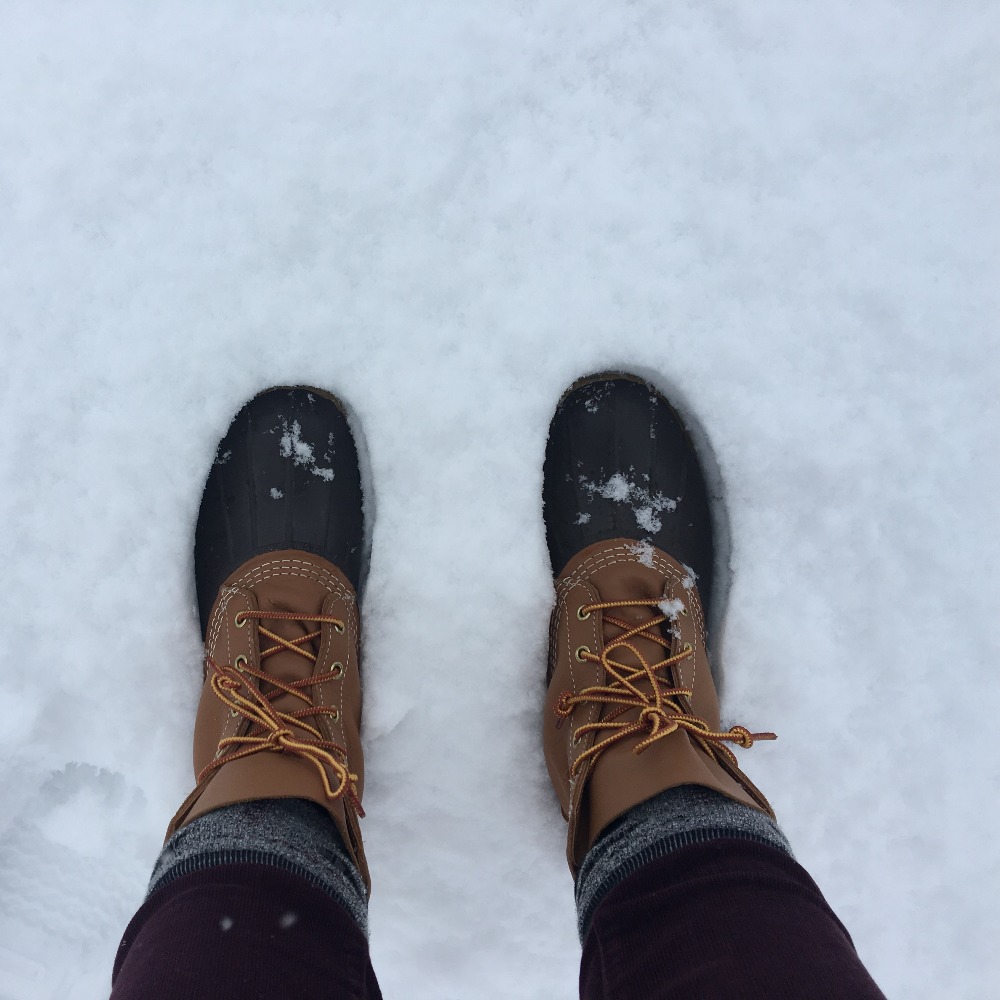 Meet your Posher, Lucy